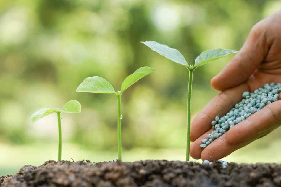 fertilizers