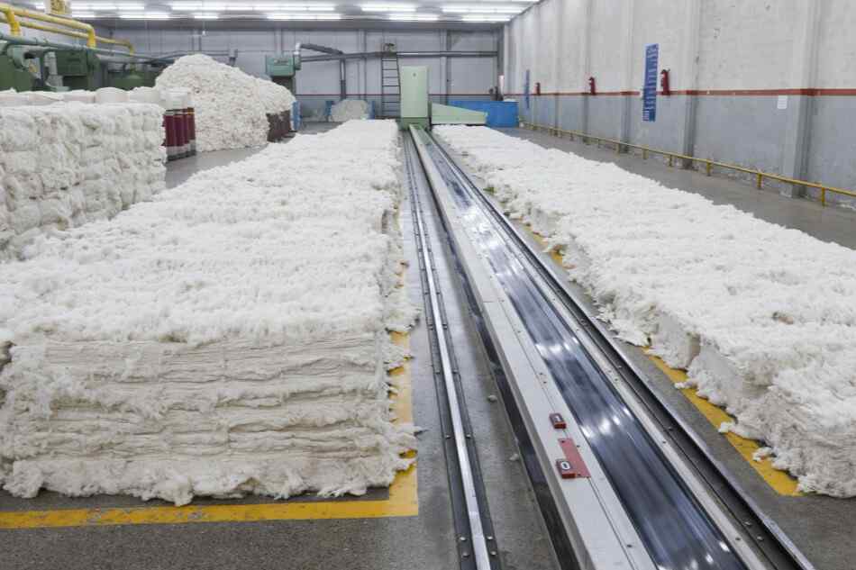 Paper & Pulp