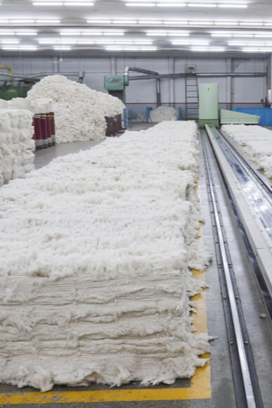 paper-pulp